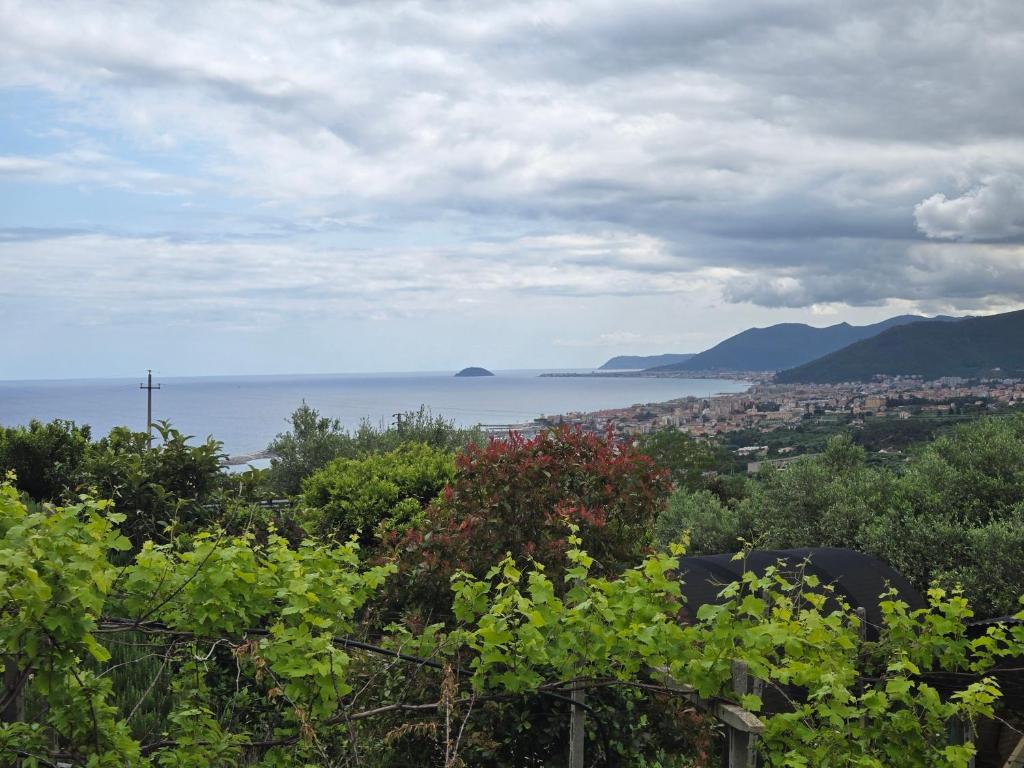 Una vista del océano desde una colina con árboles. en Belvedere - By Ligooria, en Pietra Ligure
