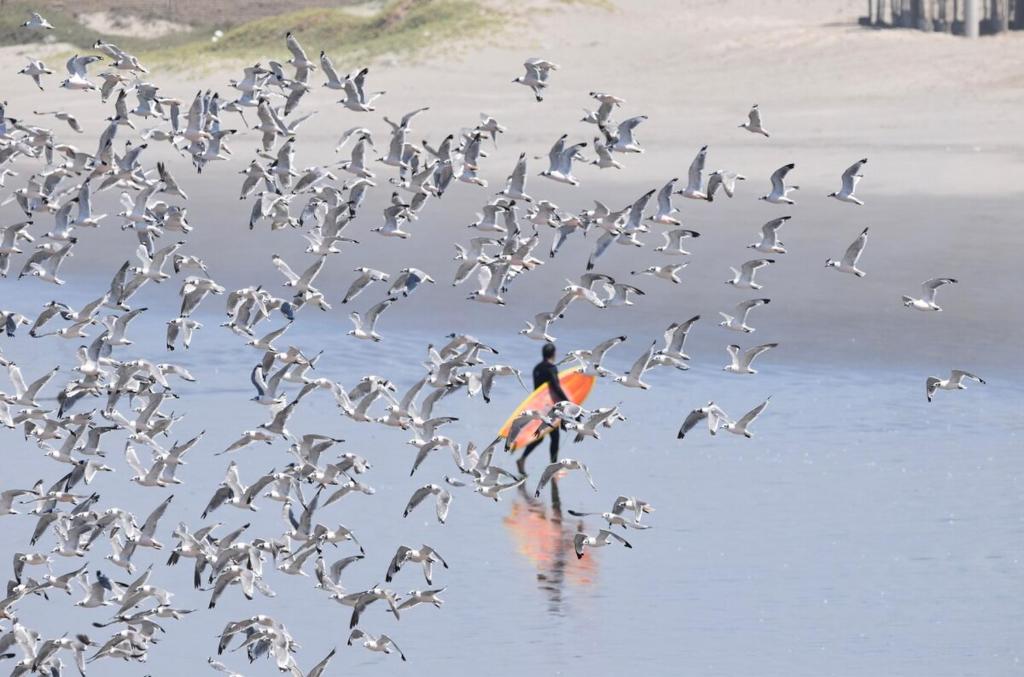 Natuurlandschap vlak bij het vakantiehuis