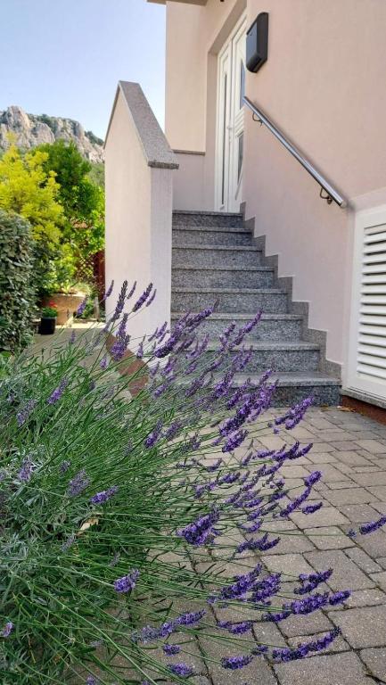 Zahrada ubytování Apartment Pirun