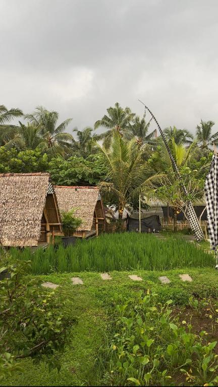 Giardino di Glamping Orak Arik