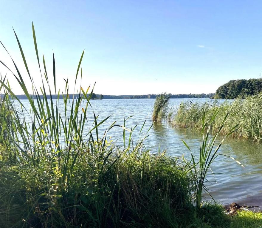 Příroda nedaleko ubytování na lodi