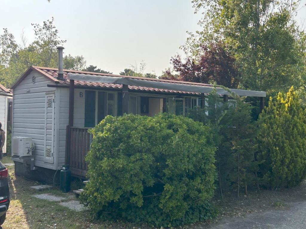 a small shed with a bush in front of it at AdriaCamp Mobile Homes Rosapineta in Rosapineta