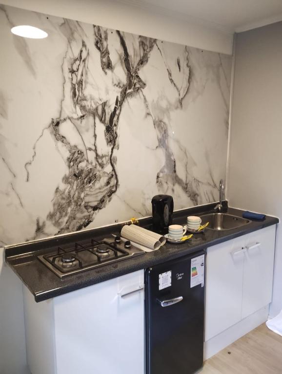 a kitchen with a sink and a stove and a counter top at Beehouse Casa Miel Villa Alemana in Villa Alemana
