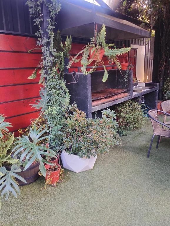 a garden with plants in pots next to a bench at Beehouse Casa Miel Villa Alemana in Villa Alemana