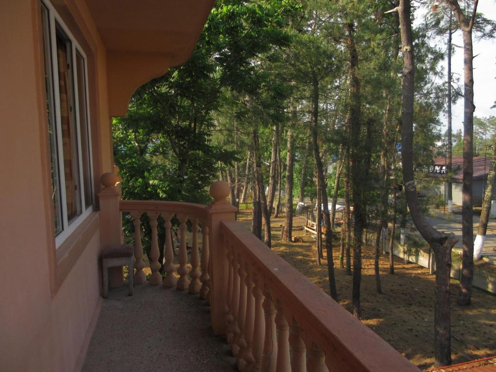 Zahrada ubytování HOTEL - SHORENA