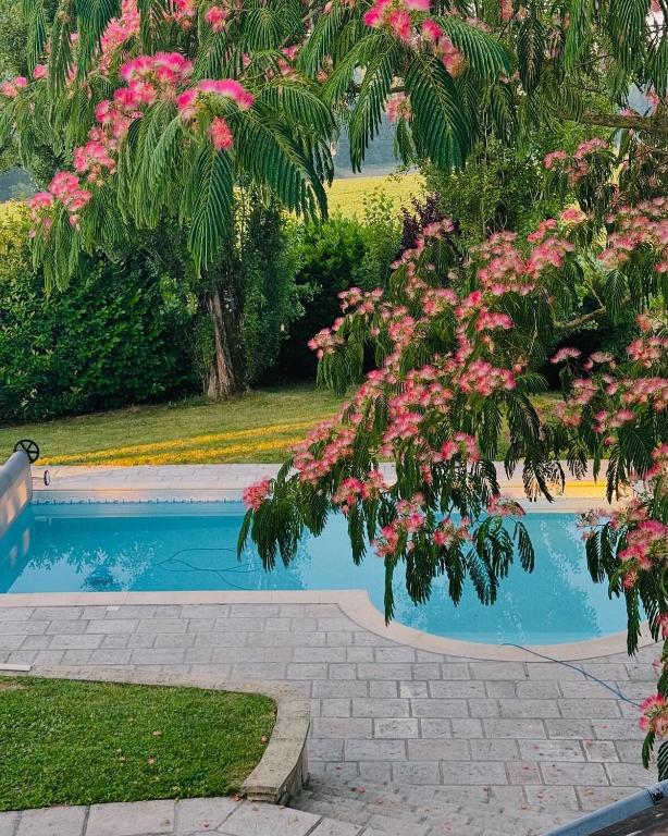 un arbre aux fleurs roses près d'une piscine dans l'établissement Villa Relax avec Piscine Privée à 90 min de Paris, à Saint-Hilaire-les-Andrésis