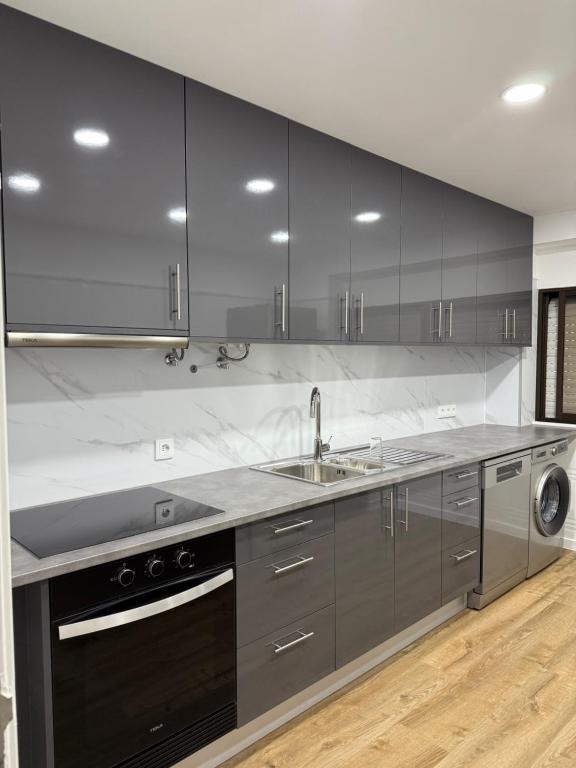 a kitchen with a sink and stainless steel appliances at Casa de Ferias apartamento T3 in Carregado