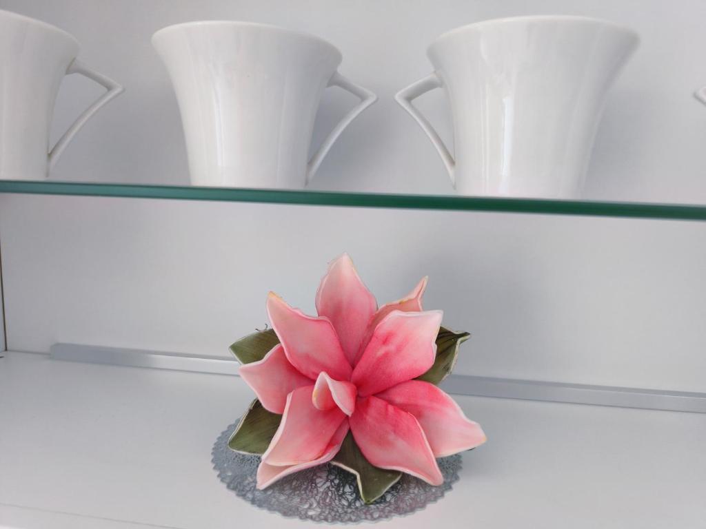 Afbeelding uit fotogalerij van Cute studio-great location in Zadar