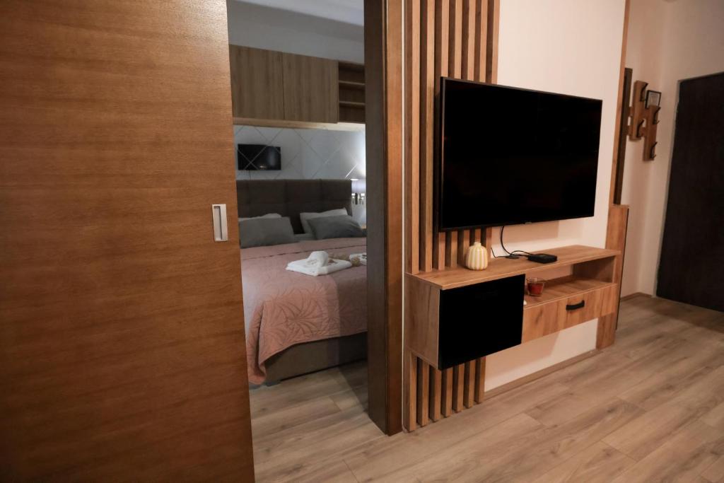 TV a/nebo společenská místnost v ubytování Zeus Apartman