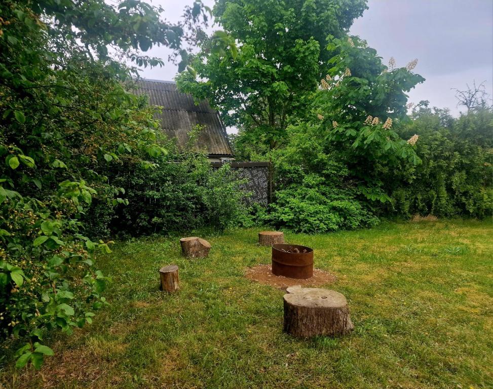 a group of tree stumps in a field next to a house at Puķkalniñš in Ventspils