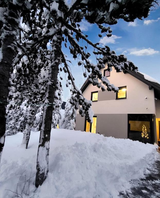 a house in the snow with a tree at Forza Blidinje in Blidinje