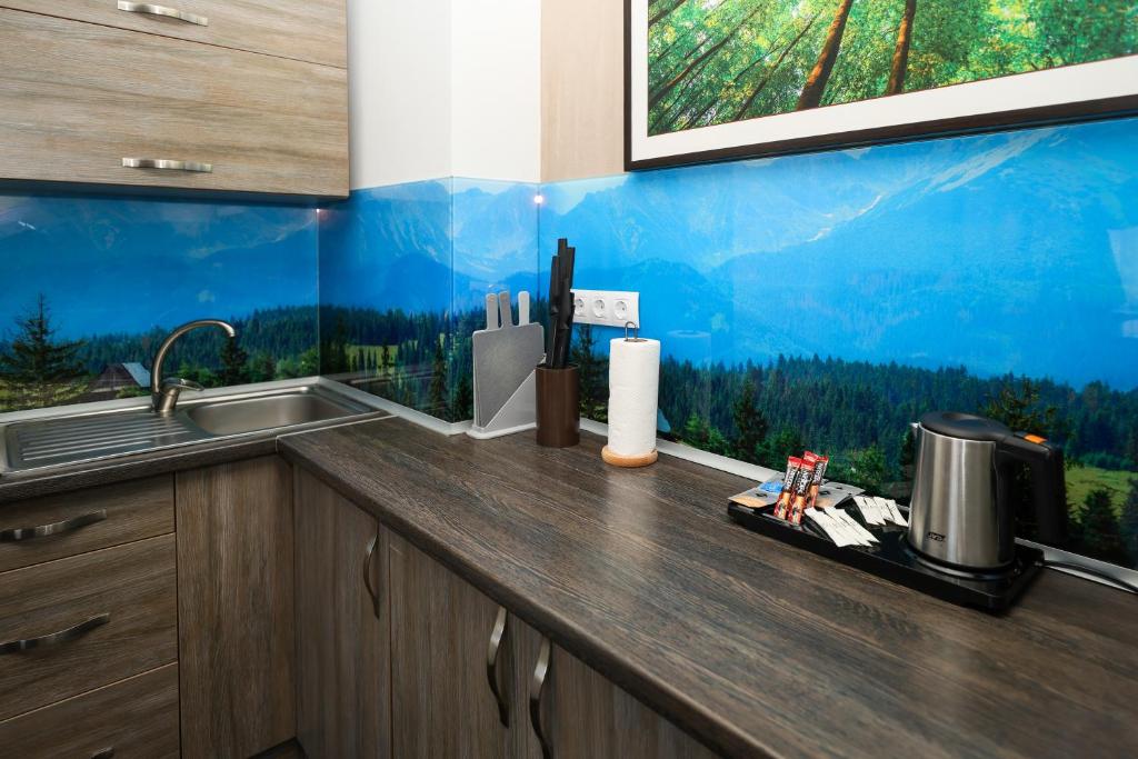 Kuchyň nebo kuchyňský kout v ubytování VILSON hotel