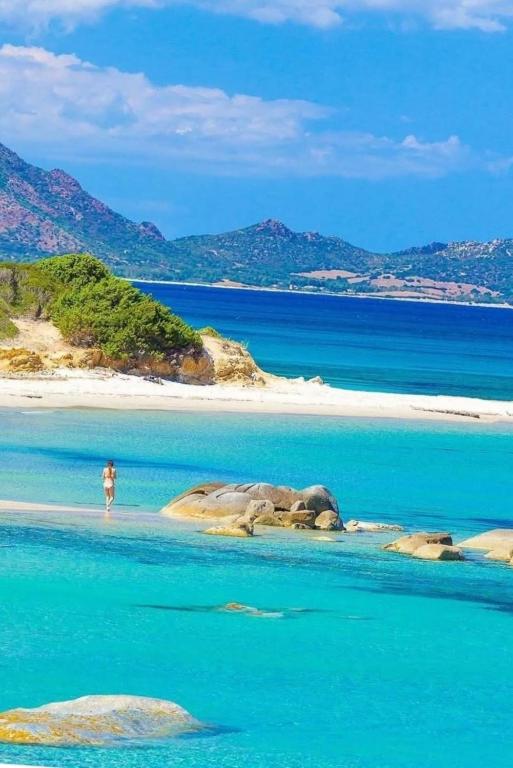 a man standing on a beach with an elephant in the water at Da Maurizio e Luisa in Castiadas