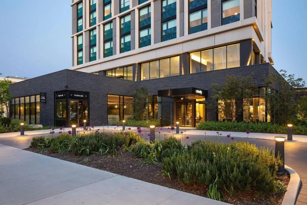 The Study at the University of Chicago in Chicago