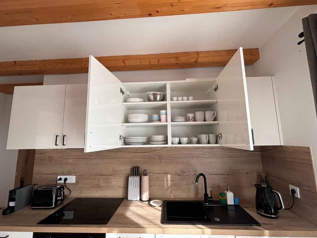 Kuchyň nebo kuchyňský kout v ubytování Apartmán Lutová