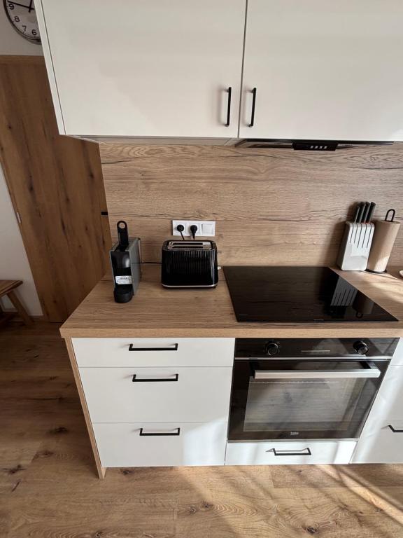 Kuchyň nebo kuchyňský kout v ubytování Apartmán Lutová