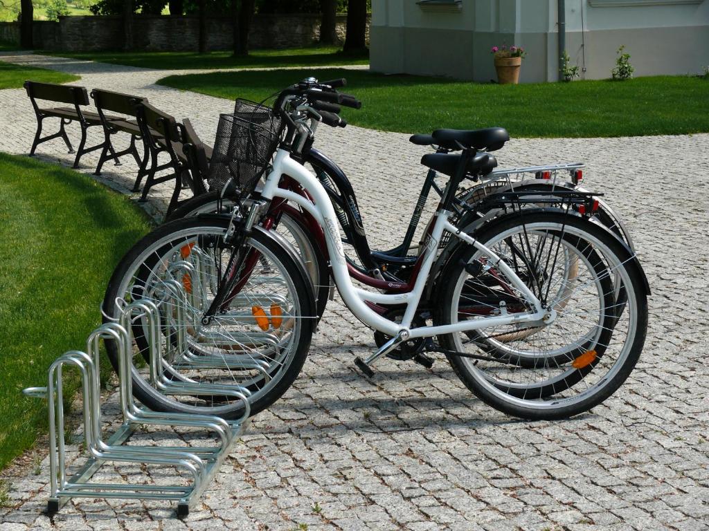 Jízda na kole v ubytování Dwór Zbożenna nebo okolí