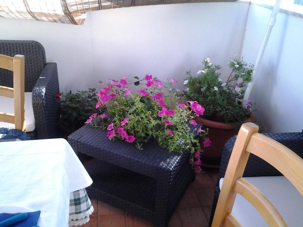 Posezení v ubytování B&B Luna Blu