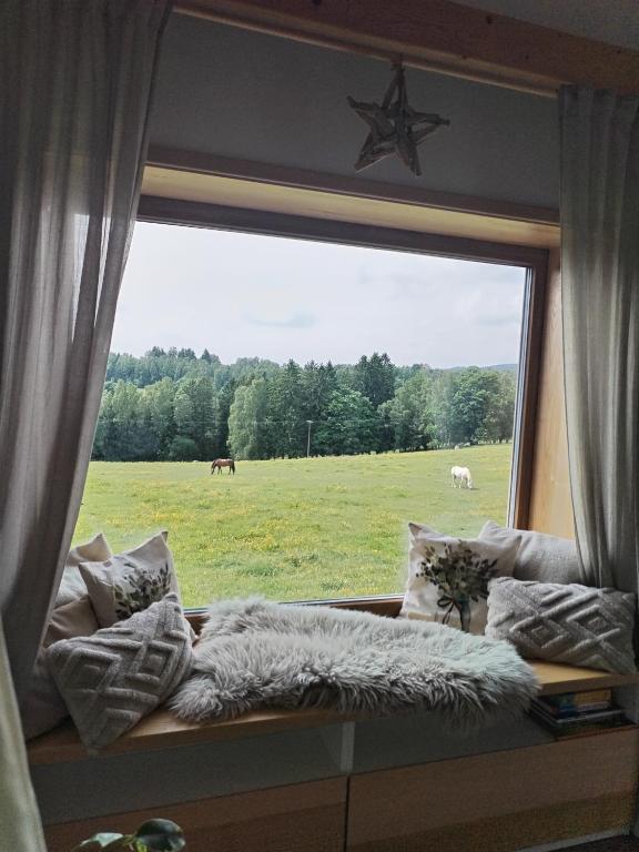 a window with a view of a field with horses at Apartmán Schwaderbach in Bublava