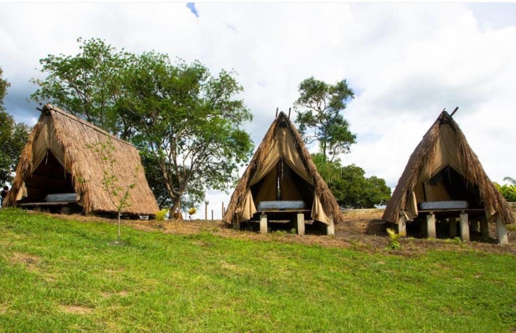Φωτογραφία από το άλμπουμ του Parque del Mango Tipis σε San Joaquín