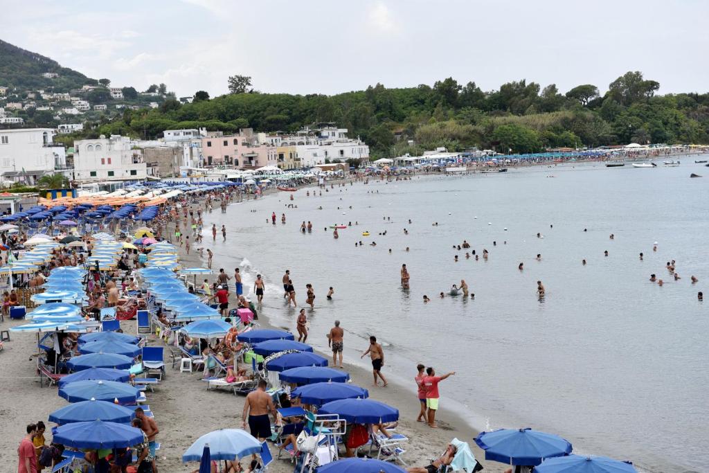 Φυσικό τοπίο κοντά σε αυτή η παραθεριστική κατοικία