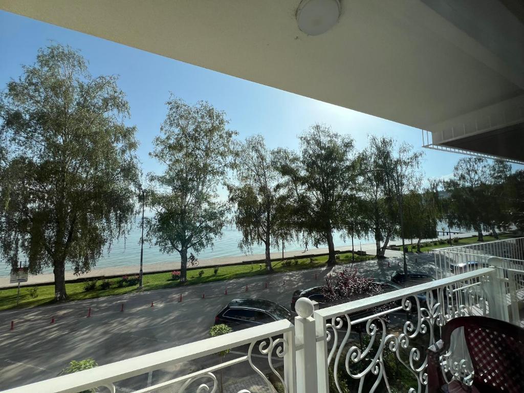 奥赫里德Blue Lake Apartment的享有海滩和树木景致的阳台