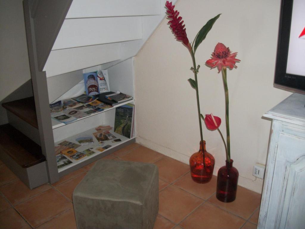 Fotografie z fotogalerie ubytování Le Rubinjo - Appartement d'hôtes v destinaci Saint-Benoît