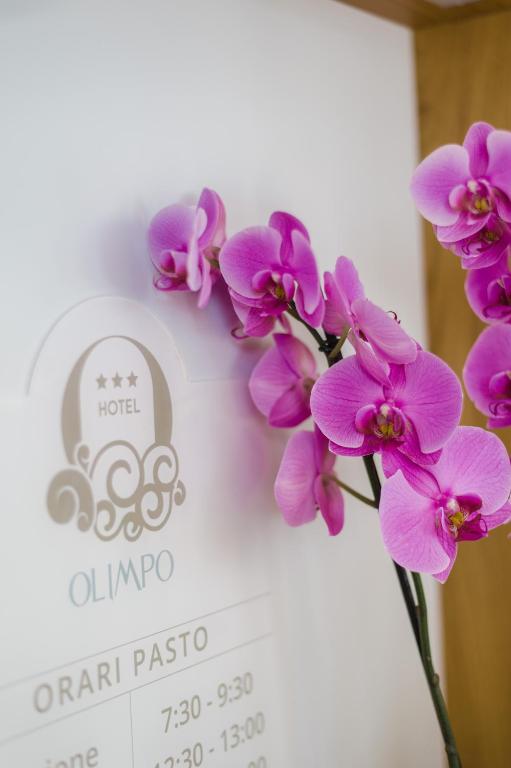 Hotel Olimpo