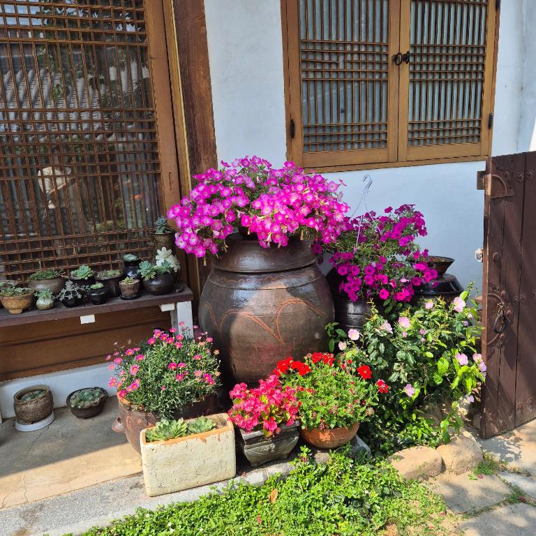 Zahrada ubytování Hanok Story Guesthouse