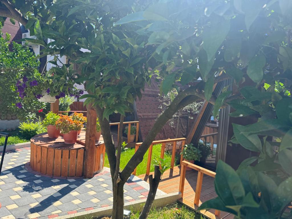 Zahrada ubytování Guest House Adilaj
