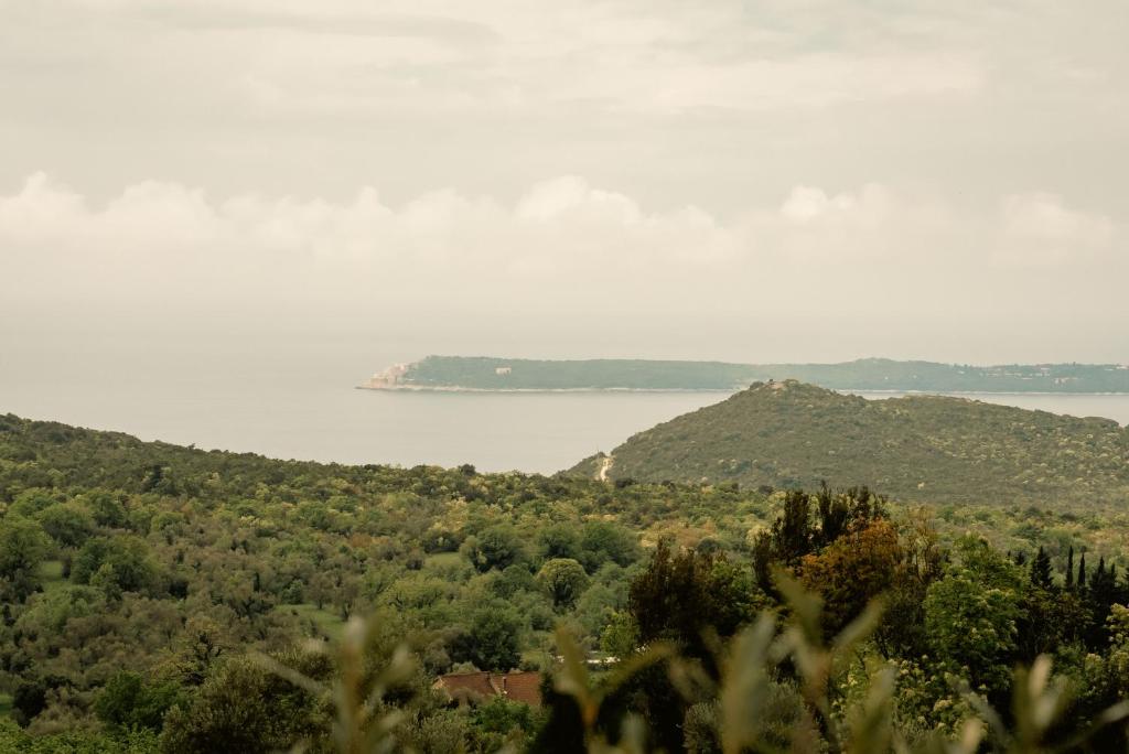 Klinci Village Resort - 16