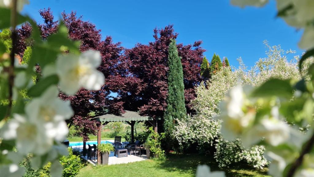 Jardí fora de Residence Green Pool & SPA