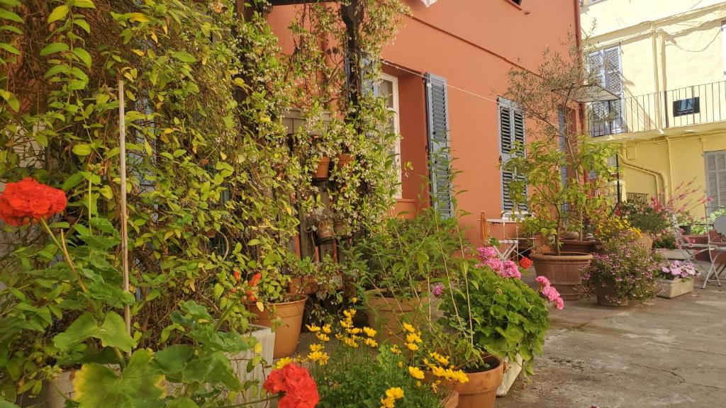 Un bouquet de fleurs en pots sur un bâtiment dans l'établissement Le Tivoli, à Cannes