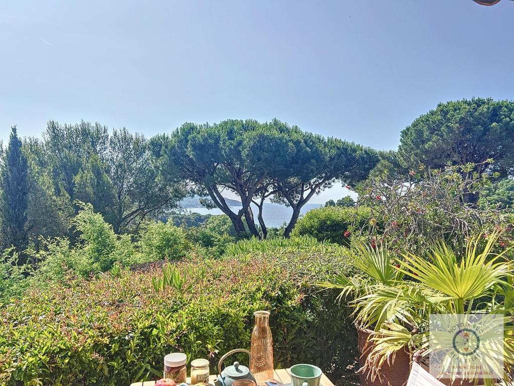 une table avec des bouteilles dessus avec des arbres en arrière-plan dans l'établissement Gigaro POSÉIDON VUE MER, à La Croix-Valmer