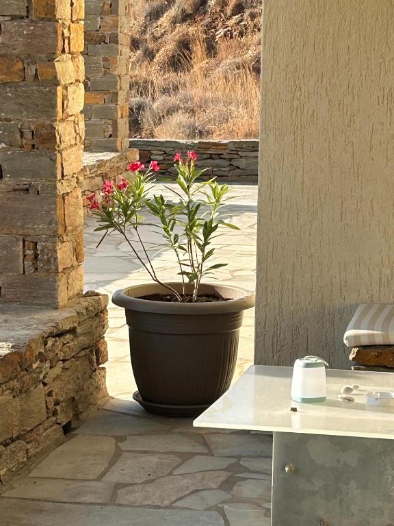 Fotografie z fotogalerie ubytování Eλιά v destinaci Melissaki