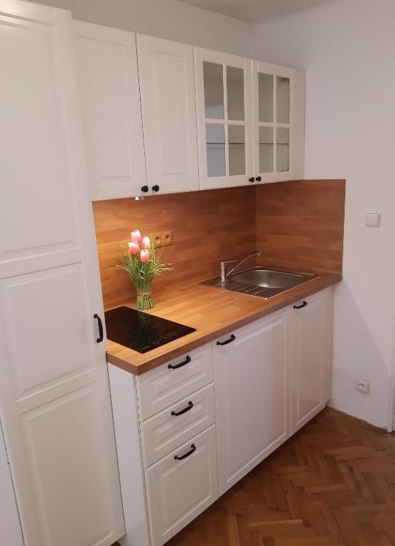 Kuchyň nebo kuchyňský kout v ubytování Vila Johanka & Apartments