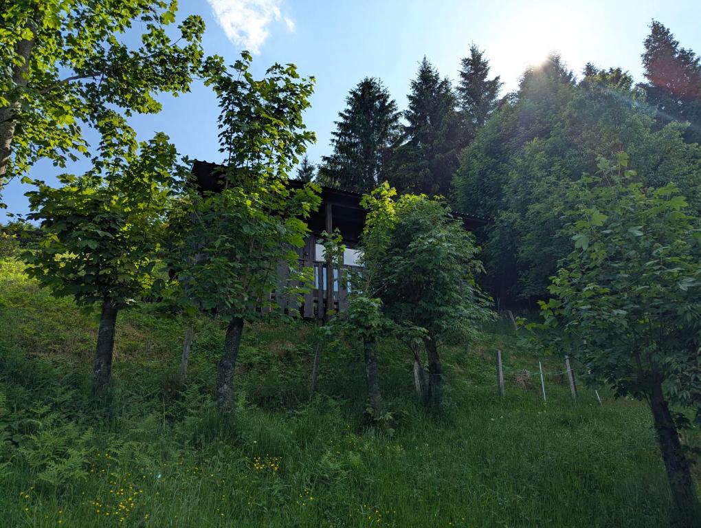 Příroda nedaleko apartmánu