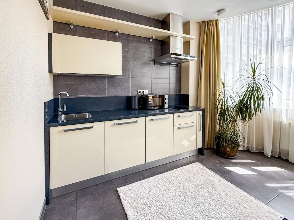 Kuchyň nebo kuchyňský kout v ubytování 12th Floor Apartments