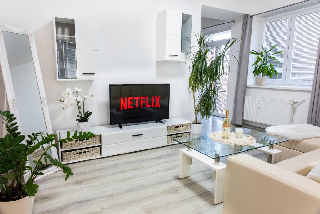 TV a/nebo společenská místnost v ubytování Apartmán v Srdci Náchoda