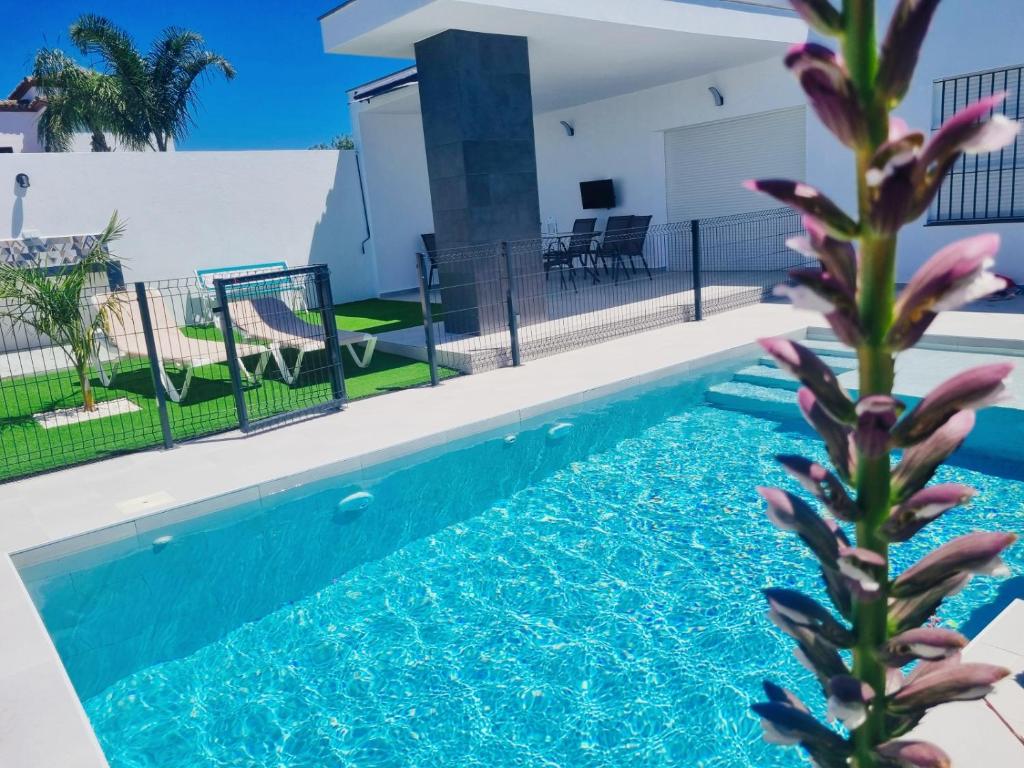 Una piscina en el patio trasero de una casa con una planta. en Casa Calma, en Conil de la Frontera