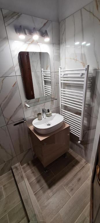 Koupelna v ubytování Popasul Moților