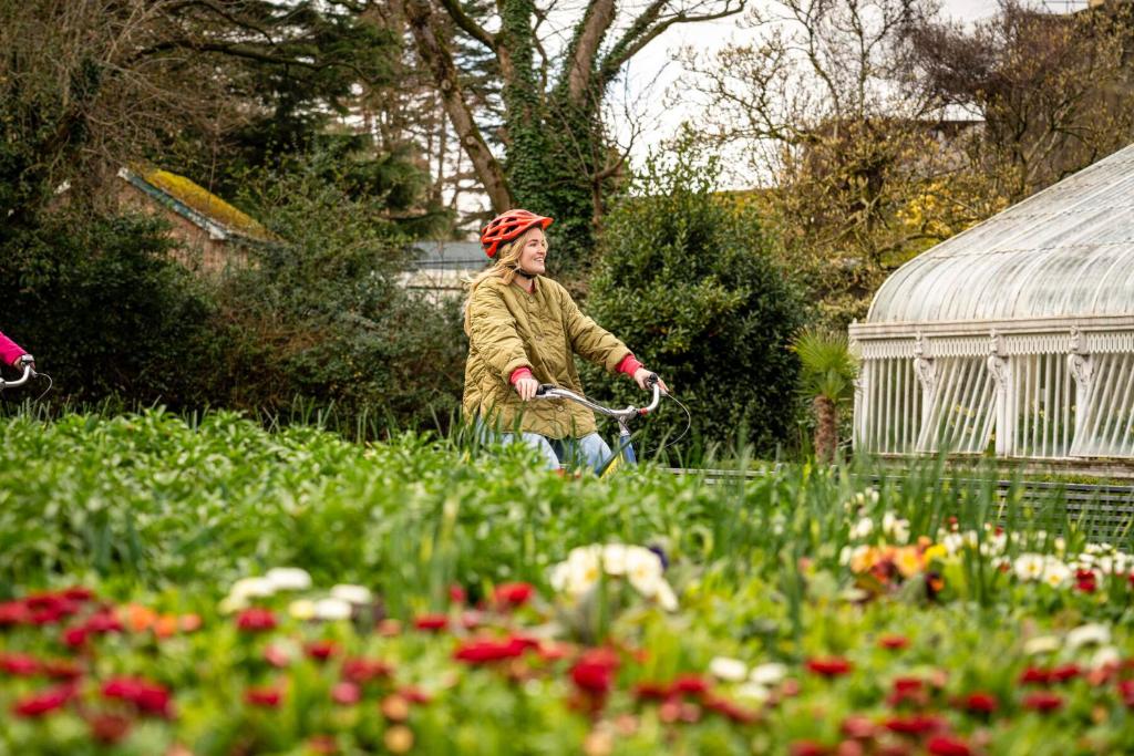 innbelfast - Resim 25