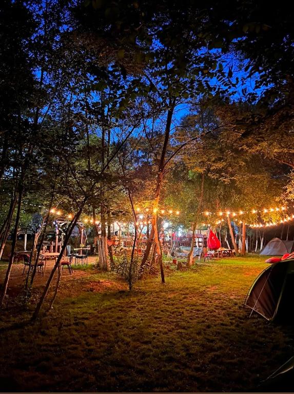 Fotografie z fotogalerie ubytování Camping Mala Clisura Dunării v destinaci Eşelniţa