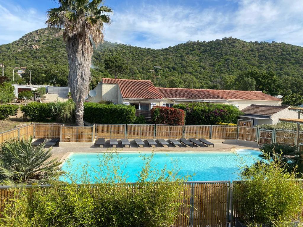 une piscine avec un palmier et une maison dans l'établissement Marina Di Fautea, à Olmucciu