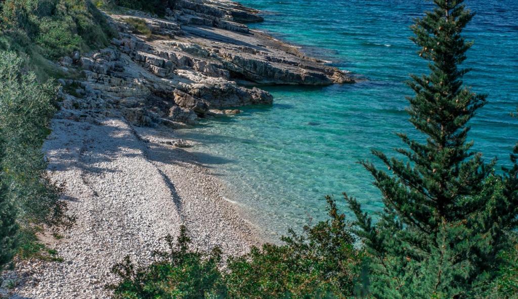 einen Strand mit Bäumen an der Wasserseite in der Unterkunft Anassa Mare Villas & Residences in Gaios