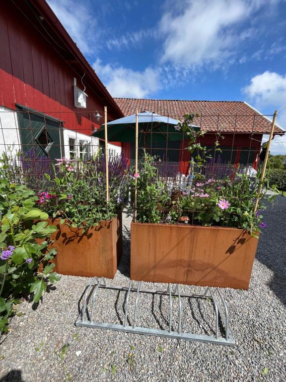 Zahrada ubytování Rovor och Rum Rännet