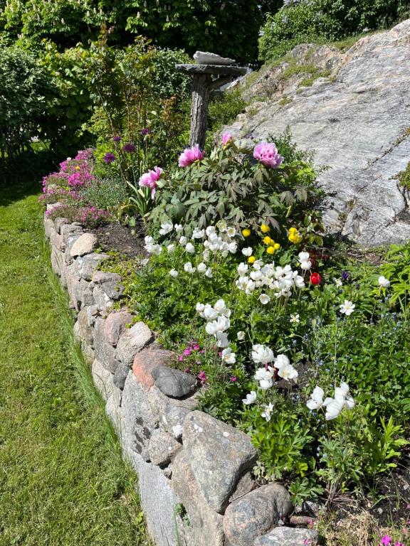 Zahrada ubytování Rovor och Rum Rännet