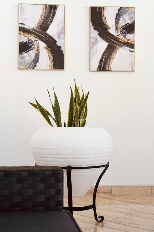 Fotografie z fotogalerie ubytování Hotel Alexandros v destinaci Ammoudia