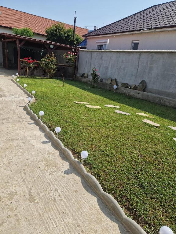 a garden with golf balls on the grass at Casa Andreea in Corbu