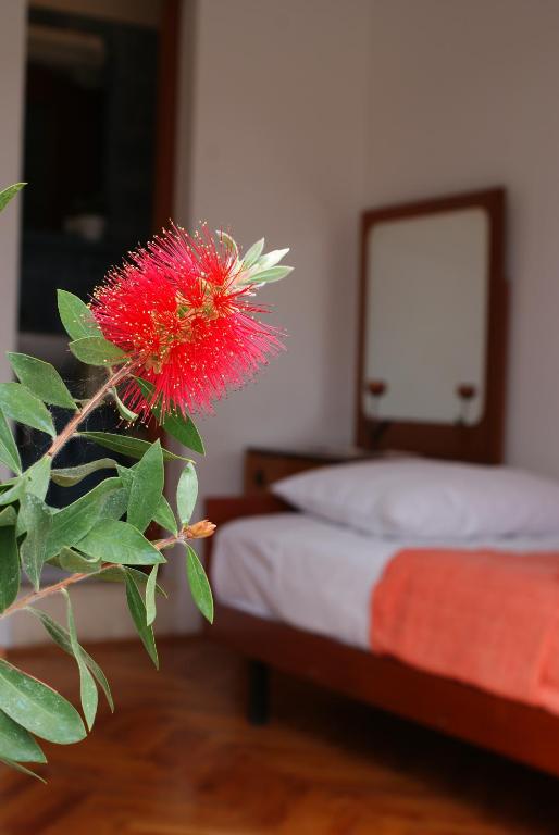 Posteľ alebo postele v izbe v ubytovaní Korčula Guest House